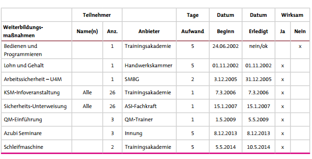 Kompetenzmatrix2.png